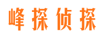 河东市调查公司